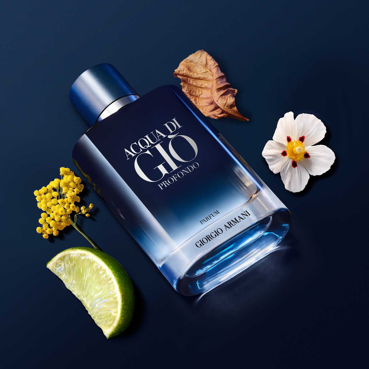 Giorgio Armani – Acqua di Giò Profondo Parfum