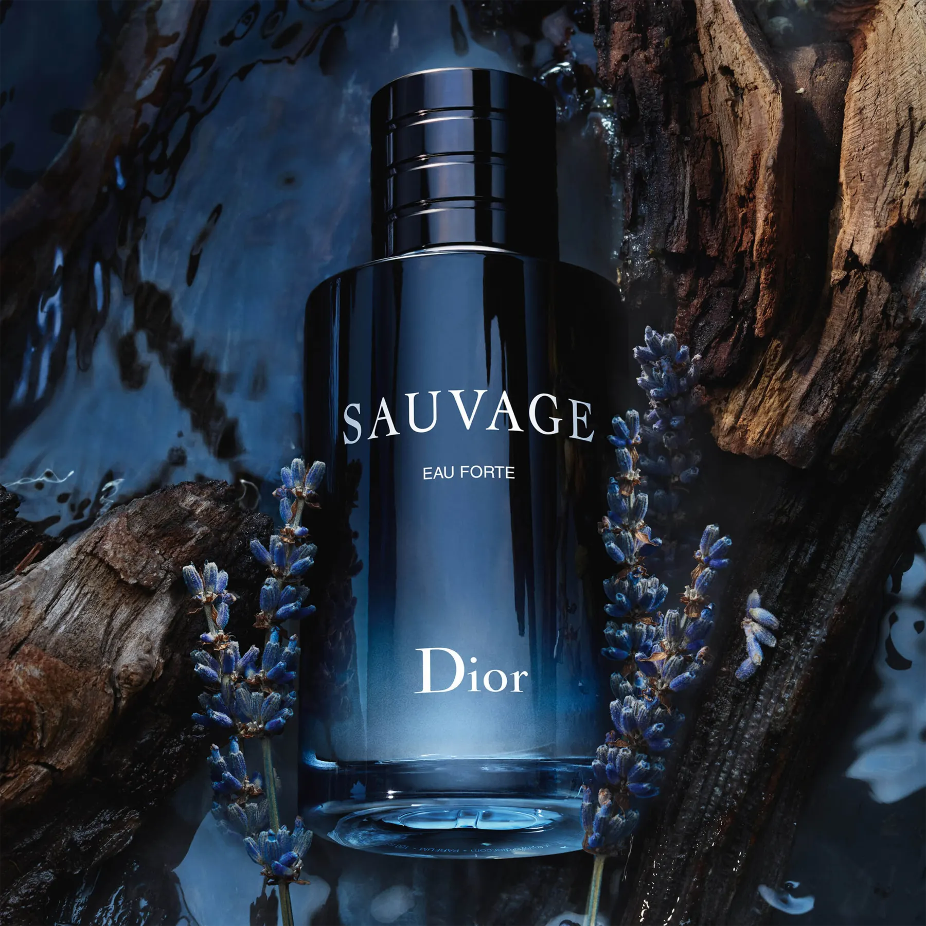 Dior – Dior Sauvage Eau de Toilette