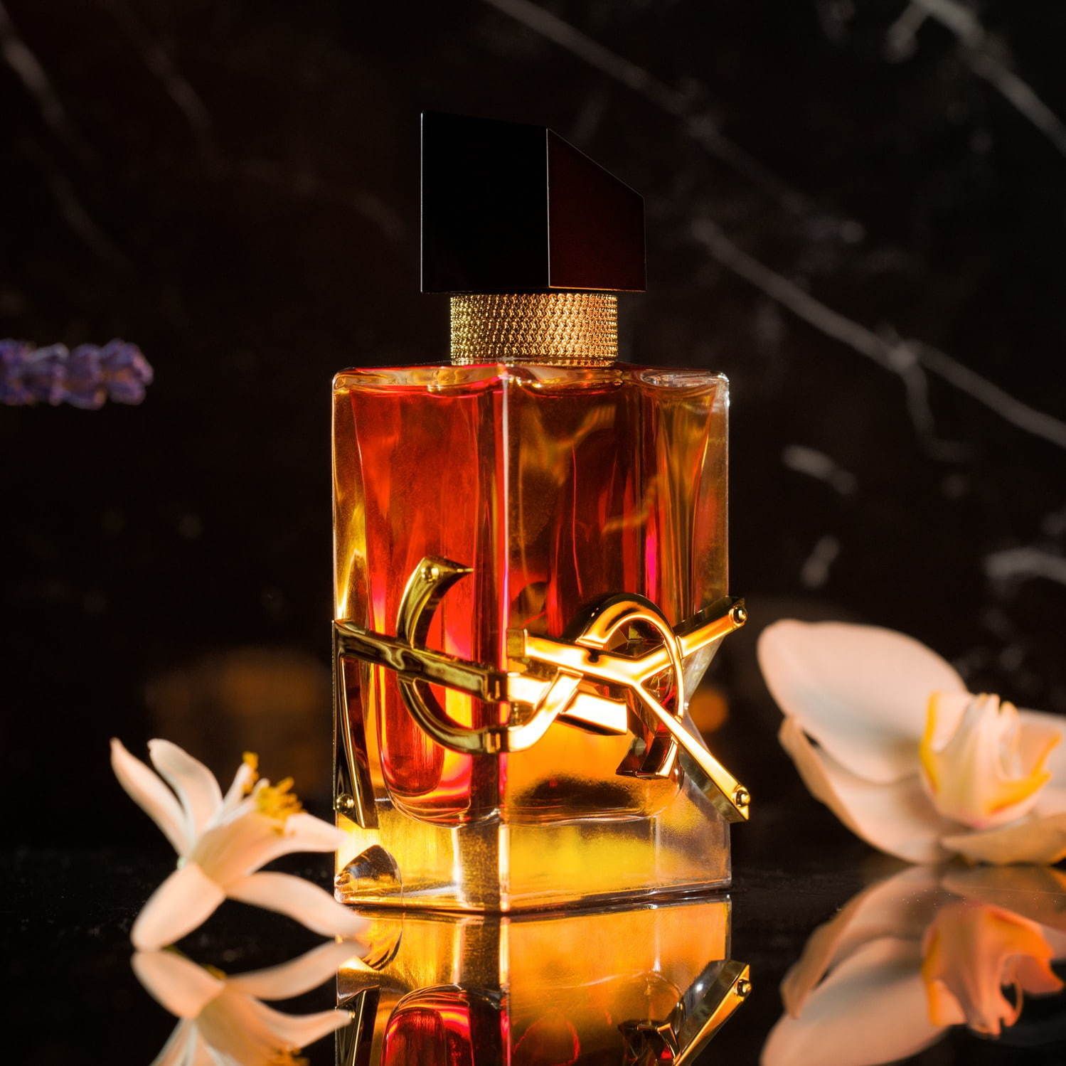 Yves Saint Laurent – YSL Libre Intense Eau de Parfum